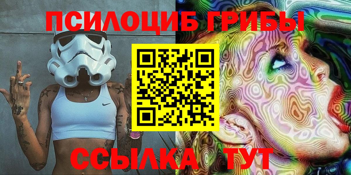 Псилоцибиновые грибы Psilocybe  Вход с VPN  Знаменск 