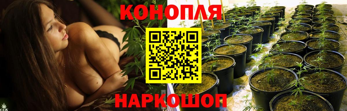 Марихуана OG Kush  Каннабис White Widow  Знаменск  Вход с VPN  Канабис планчик 